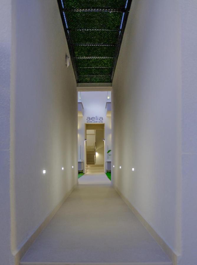 Aelia Seaside Luxury Suites Nea Karvali Exterior foto